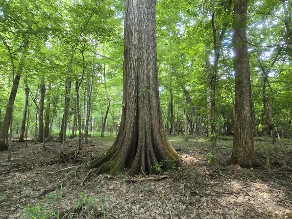 No Ms #407, Kilmichael, MS 39747