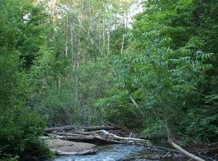 Riverview Rd, Fife Lake, MI 49633