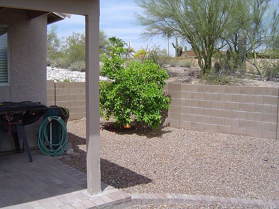 NE side yard