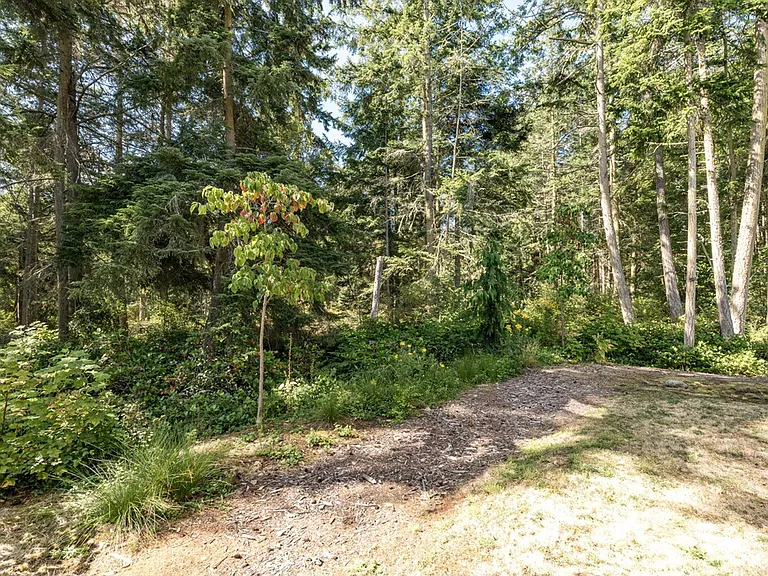 Window View