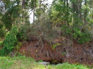 438 Foxdale Rd, Lake Placid, FL 33852