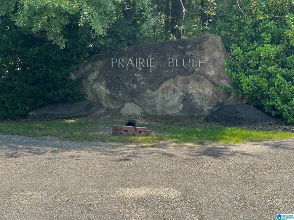 LOT 7 Paradise Cove Ln, Catherine, AL 36728