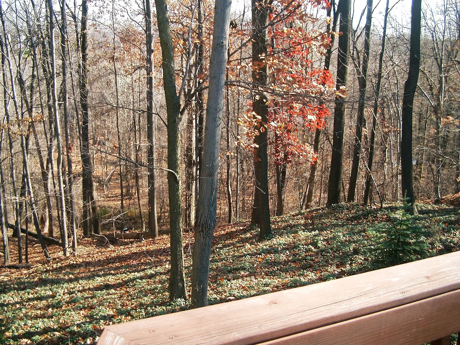 4025 Meadow Gtwy photo 1