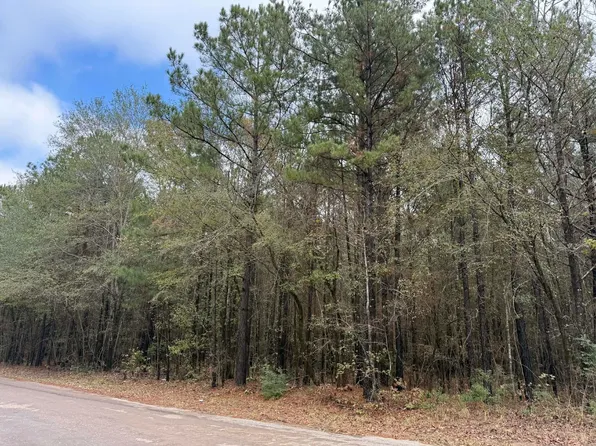 Holiday Harbor Dr, Jefferson, TX 75657