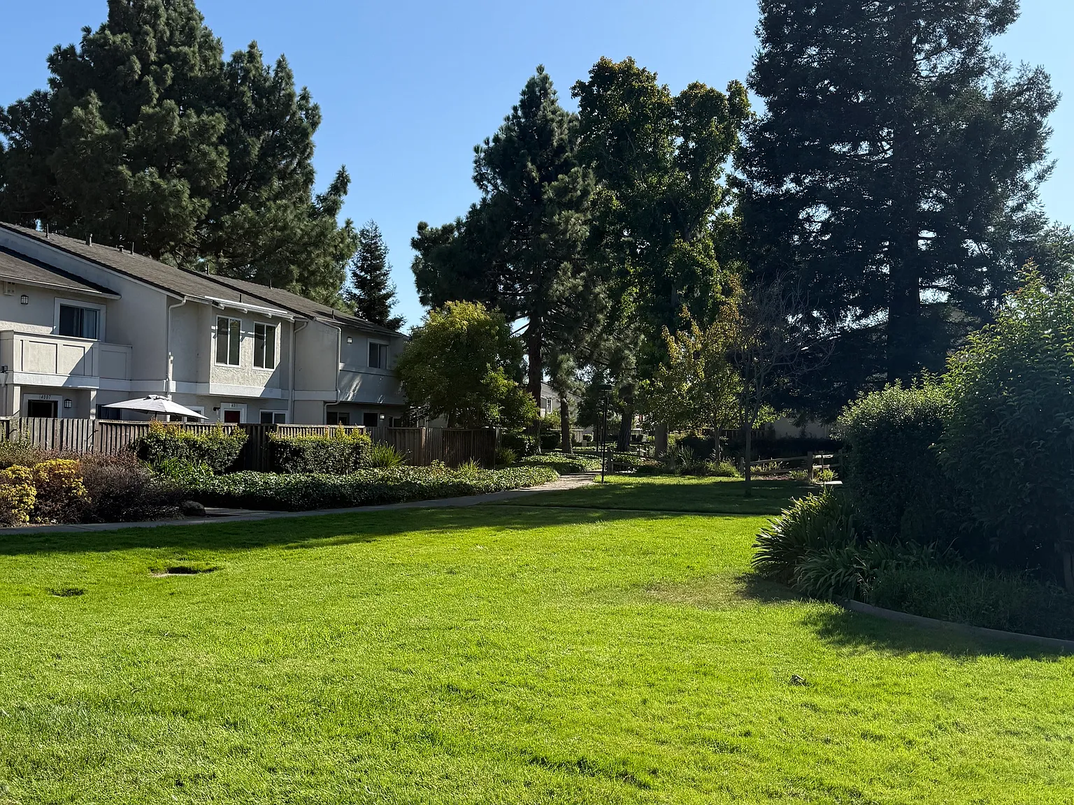 4 bed, 2.5 bath, 1332 sqft, $4,295 — Photo 2