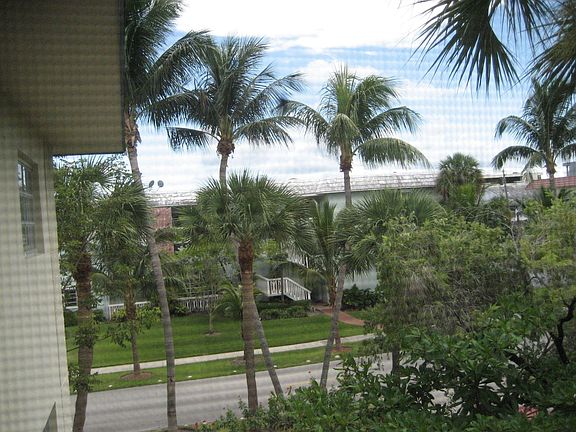 View from Patio