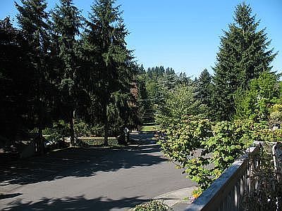 Front Deck View