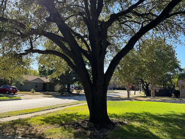 Topaz Ln — Photo 19