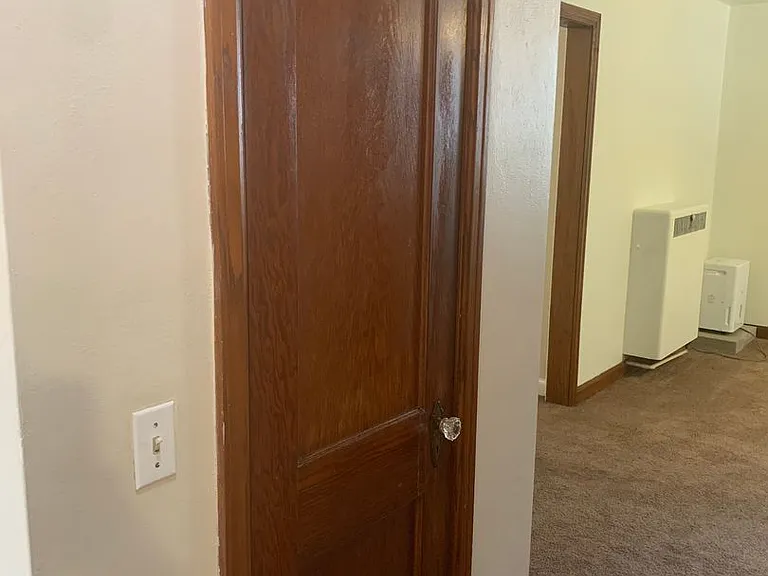 411 W Wilson St — Photo 18