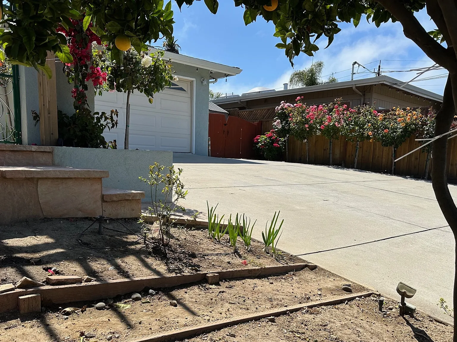 2114 Derby Ave — Photo 3