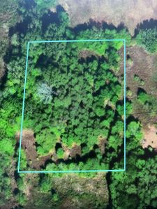 Tbd Fm 347, Jacksonville, TX, 75766
