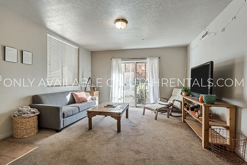 1 bed, 1.0 bath, 1196 sqft, $590 — Photo 4