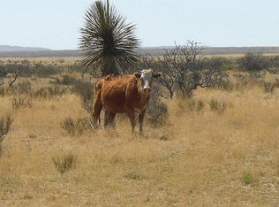 123 Sec Psl Sunset Ranches 212 #9, Fort Hancock, TX 79839