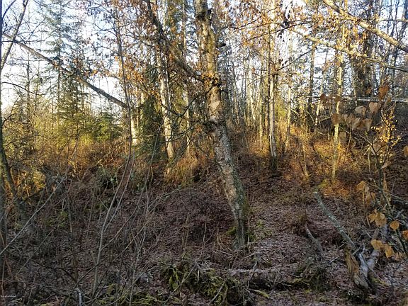 2nd image of 16211 Parksville Dr