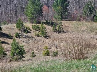 Xx Trinity Rd, Duluth, MN 55811