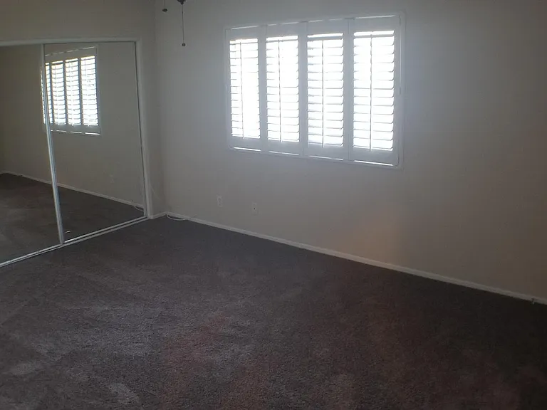 Master bedroom with wall-to-wall closet /mirror