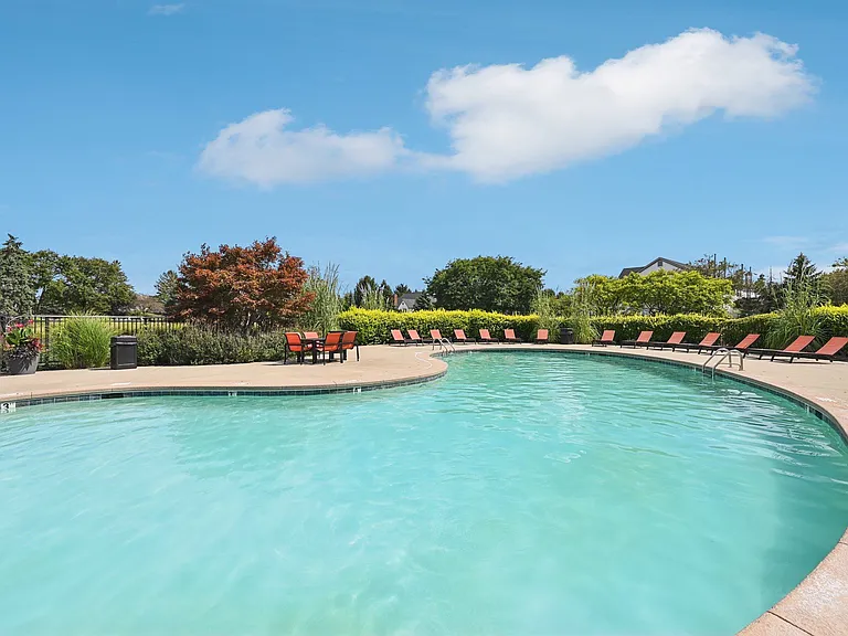 Island Club — Photo 16