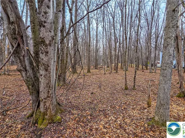 Linden Dr #622, Albrightsville, PA 18210