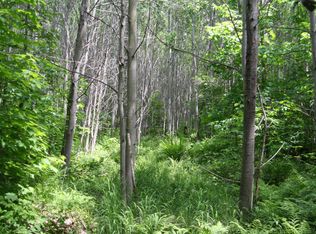 Tbd Skyline Grouse Hl, Newberry, MI 49868