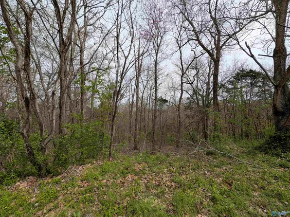 28 Carriage Hl, Madison, AL 35758