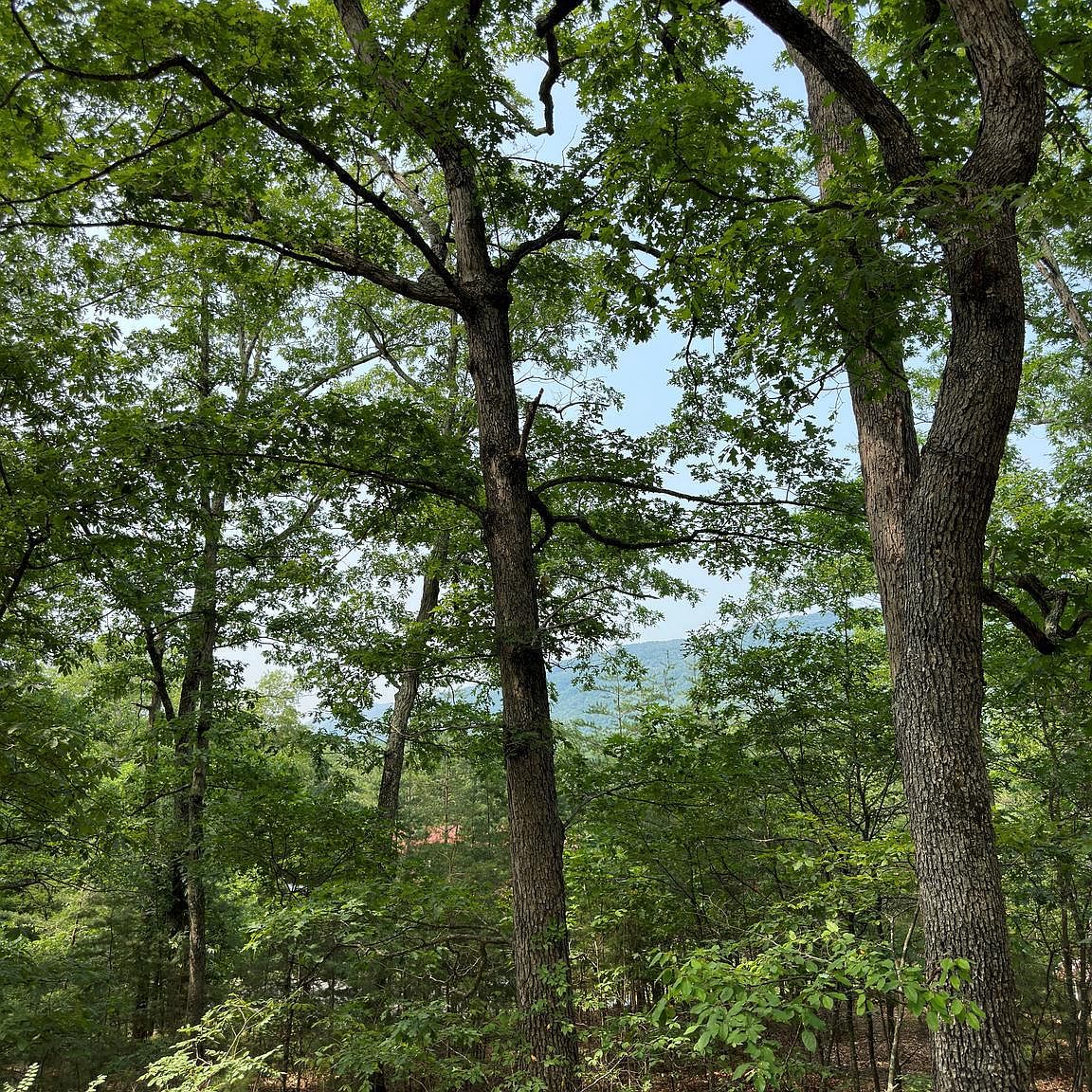 Mountain Acres Dr, Moorefield, WV 26836 MLS WVHD2001630 Zillow