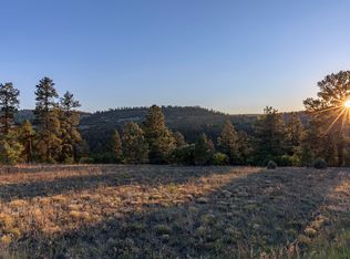 Tbd Green Meadows Ln, Placerville, CO 81430