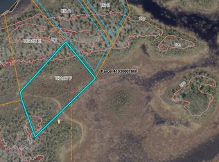 Township Road F Asls Rd #90-304, Big Lake, AK 99652