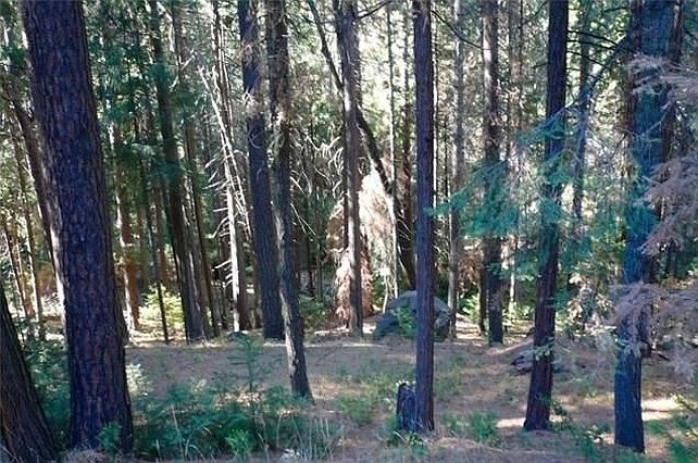 1st image of 7183 Snyder Creek Dr