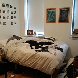 Rented by Best Apartments North Inc