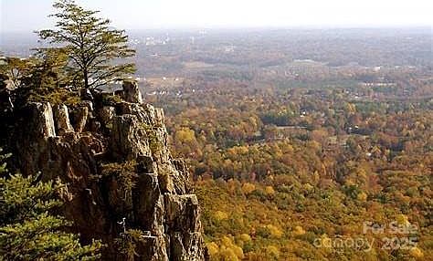 3rd image of 3202 Marshall Wolfe Rd