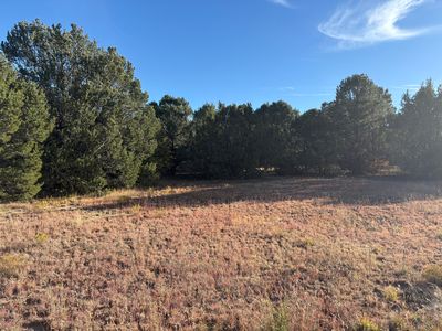 139 Holli Loop, Edgewood, NM, 87015