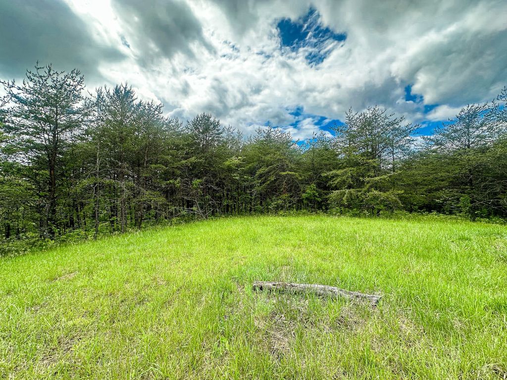 Real estate listing image