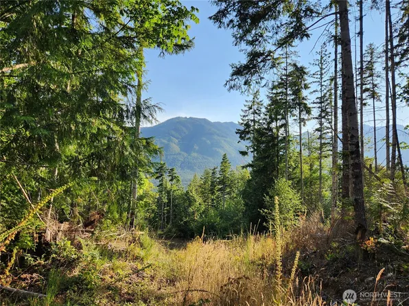 0 Rocky Brook Road Road Lot I, Brinnon, WA 98320