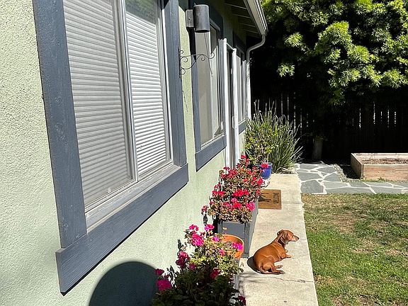 4th image of 529 Vernon Ave
