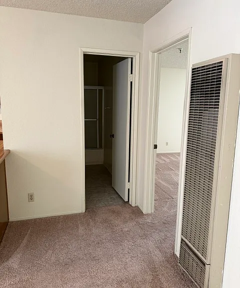 Doty Apartment North & South — Photo 8