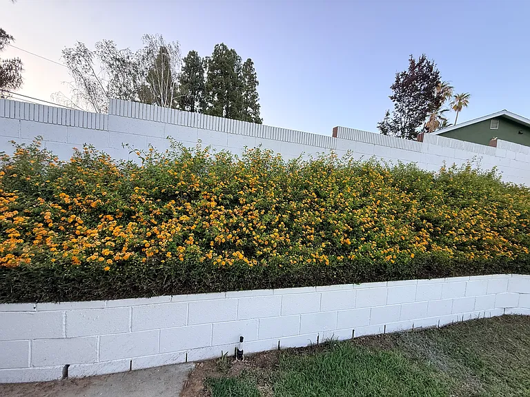 410 N Canyon Blvd — Photo 81