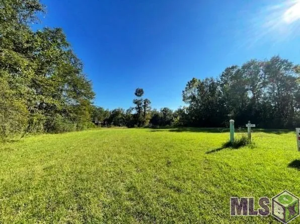 21583 Waterfront East Dr, Maurepas, LA 70449