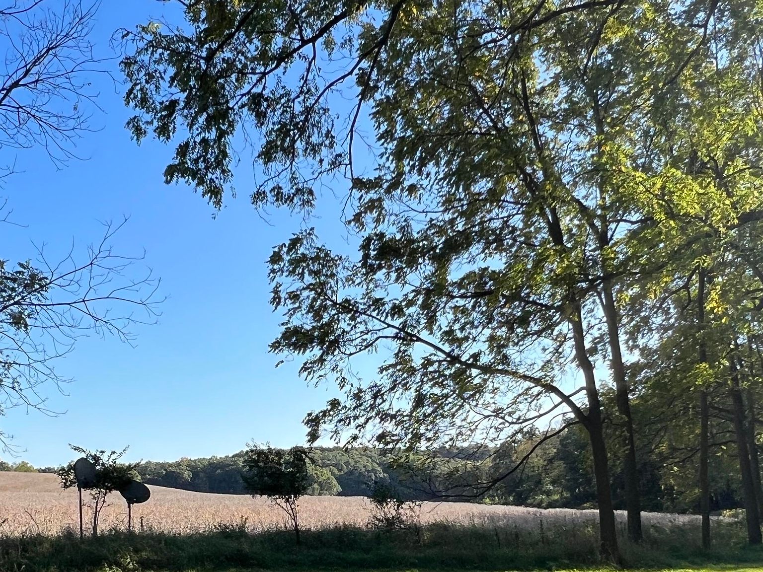 Vl A Springbrook Rd, Jackson, MI 49201 Zillow