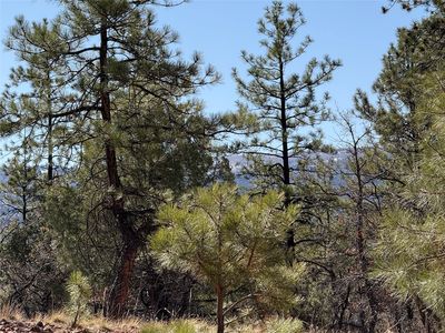 0 Big Oaks #3, Chama, NM, 87520