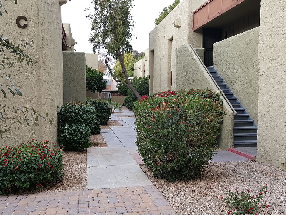 complex area