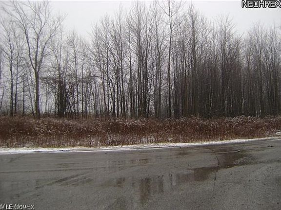5th image of Zrolka Dr