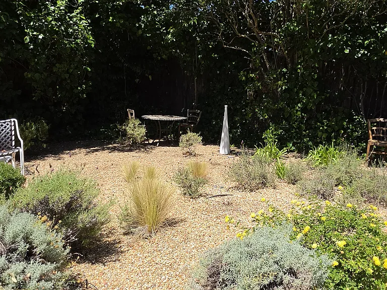 Rear Yard