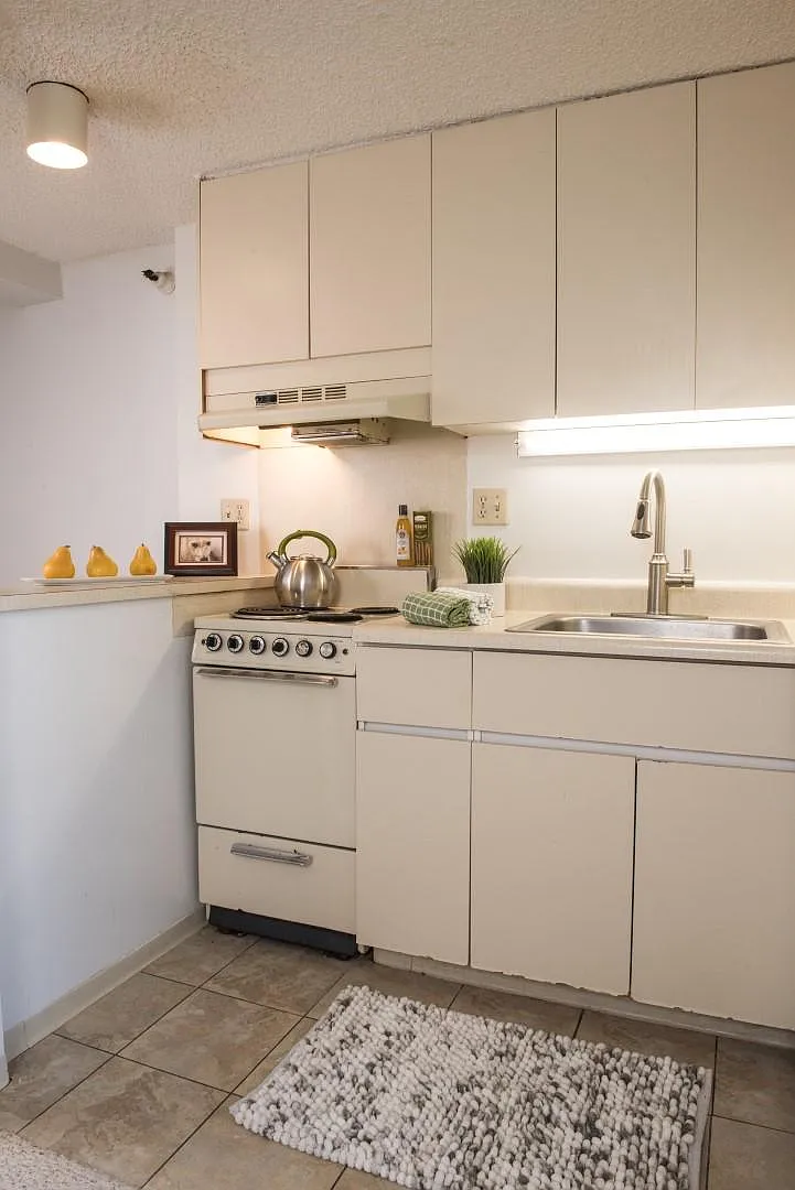 Studio, 360 sqft, $1,600 — Photo 3