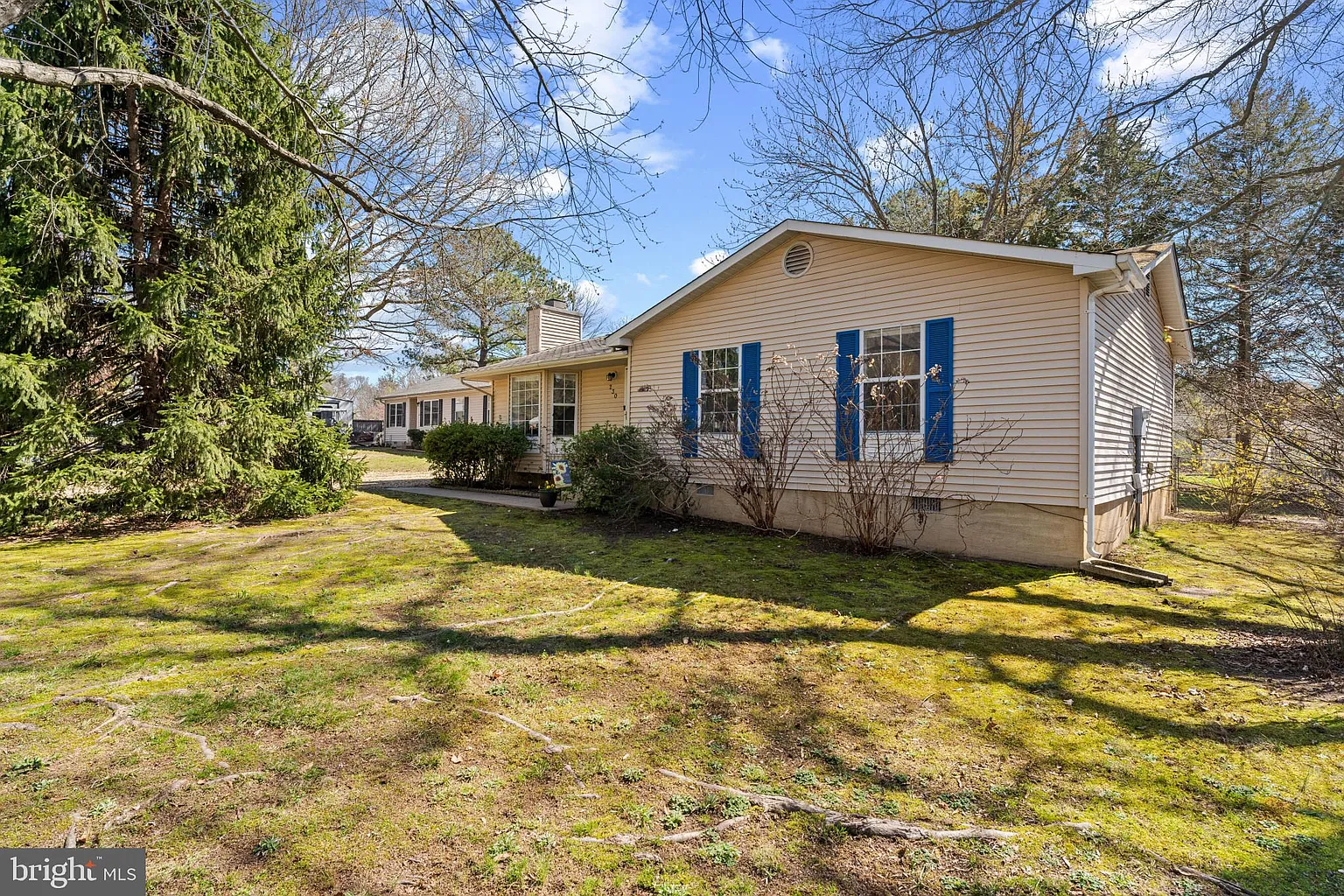 230 Cedar Ave photo 1