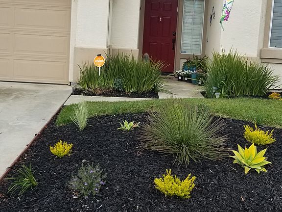 New Low water Landscaping