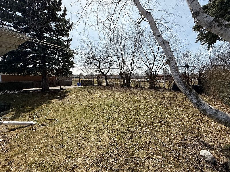Brampton House for rent - 3 Bedrooms — photo 20