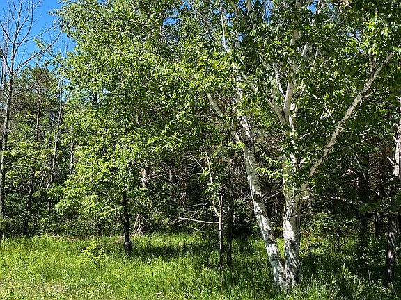 4th image of Site 2 Cottage Bluff Ln