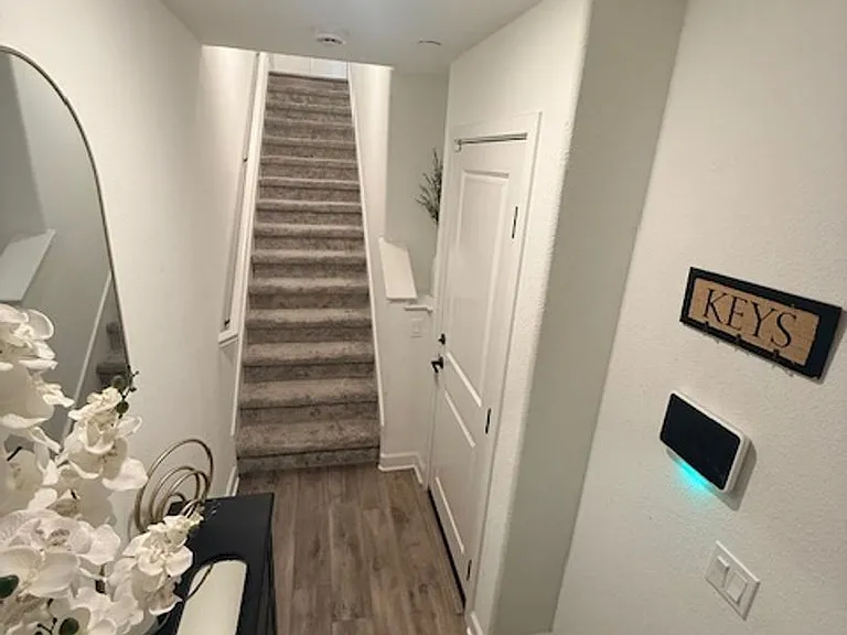 2052 Vela Ln — Photo 5
