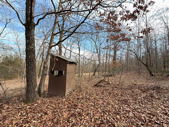 5th image of 315 Northwoods Ln