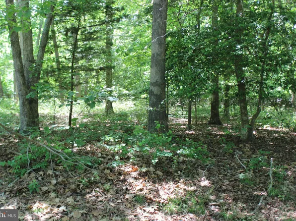 2427 Brigantine, Greenbackville, VA 23356